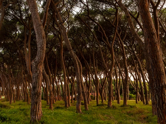 Il parco è tutto da scoprire.